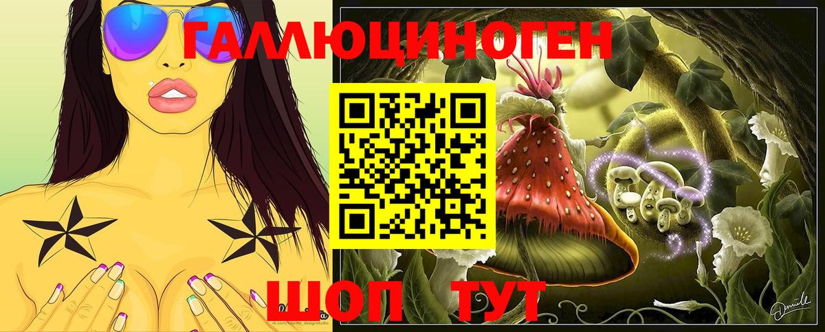 Галлюциногенные грибы Psilocybe Воркута