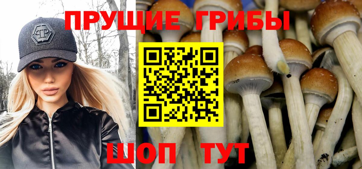 Воркута  Галлюциногенные грибы мицелий  Вход с VPN 